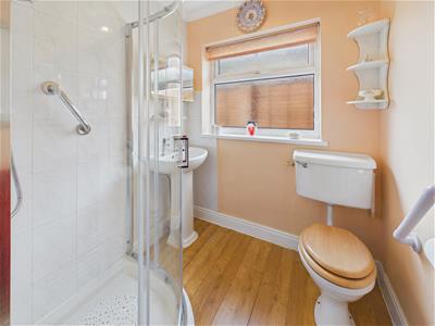 Picture 14